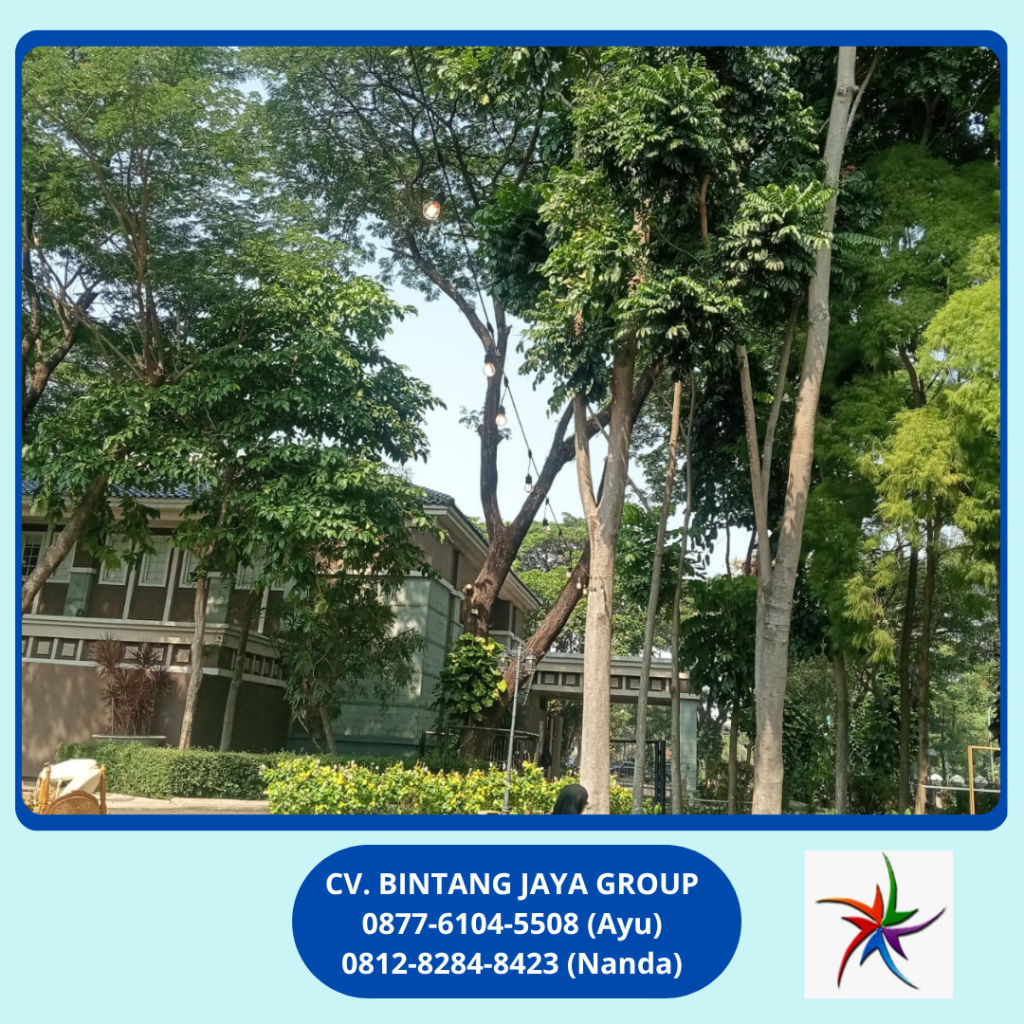 Rental Lampu Taman Dan Meja Bulat Alam Sutera 0878-8012-5555